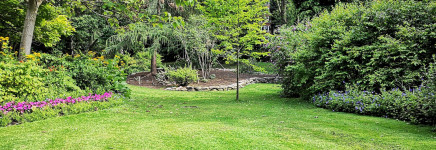 Aftrap participatieproject Pientere Tuinen