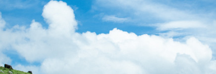 Waalre gaat voor integrale aanpak wegenbeheer en openbare ruimte