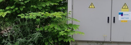 Terugblik CROW Essit bijeenkomst “Gevaar Aziatische duizendknoop vraagt om professionele aanpak”