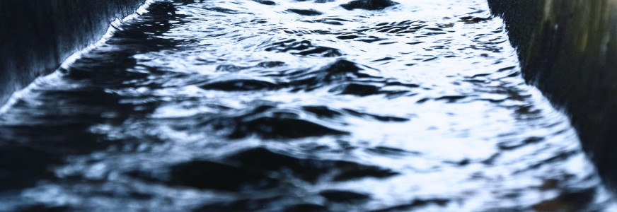 Strategisch assetmanagementplan Hoogheemraadschap van Rijnland