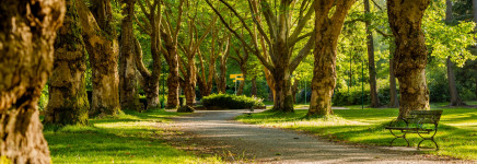 Wat is IMBOR precies?