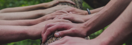 Assen pakt laan flink aan in samenwerking met bewoners