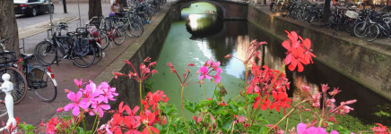 SAMP Provincie Zuid Holland