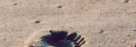 Webinar: De stappen van Assetmanagement