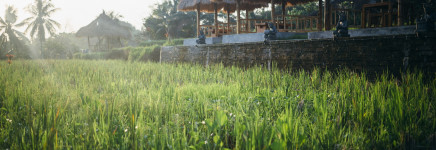 Veel interesse bij gemeenten voor campagne Maai Mei Niet