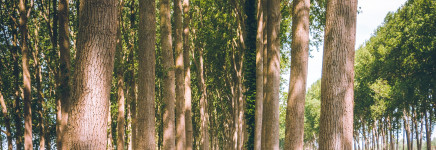 Assetmanagement, hetzelfde als rationeel wegbeheer?