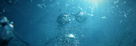 Een Strategisch Assetmanagementplan voor de sector Watersysteem - H2OWaternetwerk