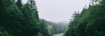 Hoe wegontwerp kan inspelen op klimaatverandering, verslag van inspiratiesessie