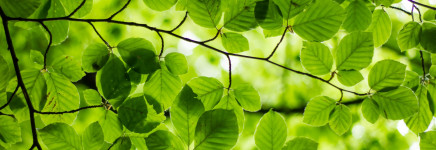 Meer groen en ecologie door uitbreiding Nifterlakepark Utrecht