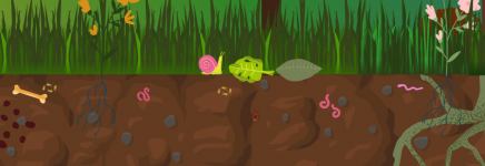 Tips voor een gezonde bodem