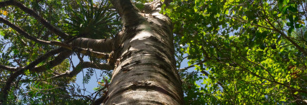 Arnhem gaat aan de slag met 3-30-300