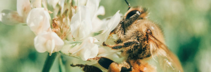 RAW-werkgroep Biodiversiteit van start