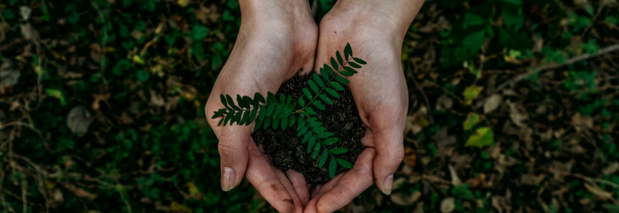 Duurzaamheid met de MKI: samen sterker!