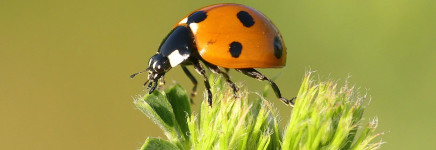 Nationaal Dashboard Biodiversiteit gelanceerd