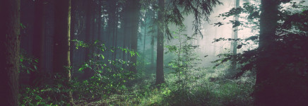 Whitepaper: Op weg naar duurzaam assetmanagement