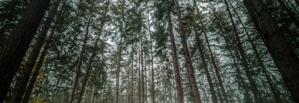 Werken met het Dashboard DuurzaamGWW