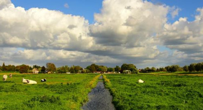 Waterschapbijeenkomst: De weg naar goed assetmanagementleiderschap