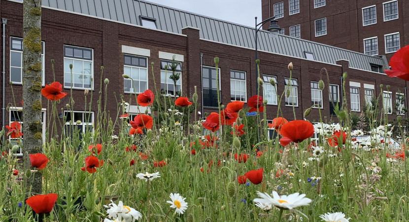 Praktijkmiddag Beeldkwaliteit 2025: Norm of Waarde?
