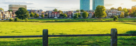 Nieuwe wijkgroenplannen in vijf Arnhemse wijken: meer groen, betere leefomgeving