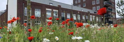 Praktijkmiddag Beeldkwaliteit: de eerste sessies