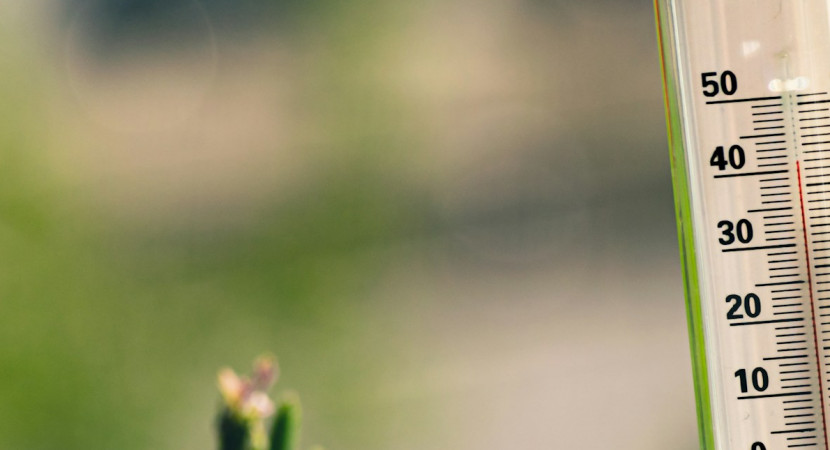 Webinar: omgaan met hittestress