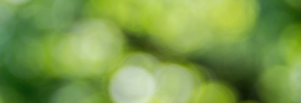 Uitbreiding onderzoek naar biologische bestrijding van woekerplanten