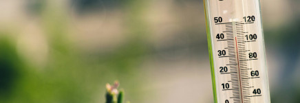 Terugkijken:  Webinar – Omgaan met Hittestress