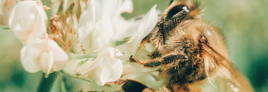 Groningen gaat onderhoud openbare ruimte opschroeven