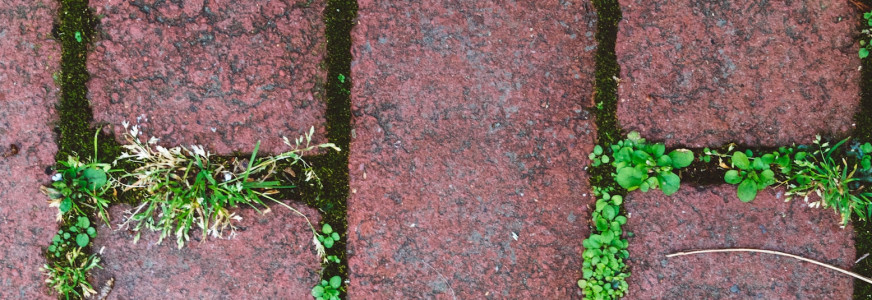 NK Tegelwippen begint weer