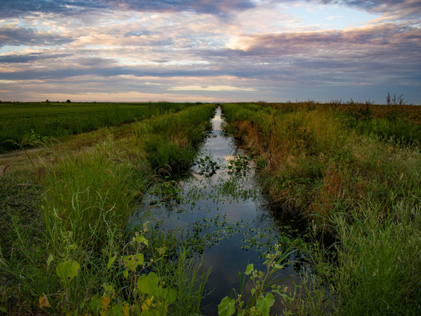 Afbeelding van VIDEO: Assetmanagement bij Waterschap Rijnland