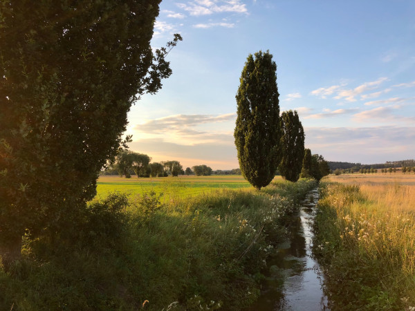 Afbeelding van Strategische plannen van Waterschap Limburg