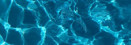 Beleid en Strategie - Assetmanagement in Waterstad - Handreiking assetmanagement stedelijk water
