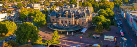 Meer dan 10% extra bomen laatste 3 jaar in heel Arnhem