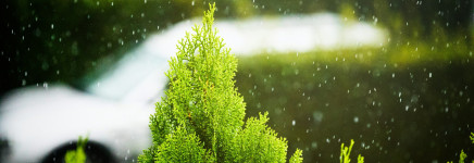 Apeldoorn zet in op groen en natuurvriendelijk bouwen