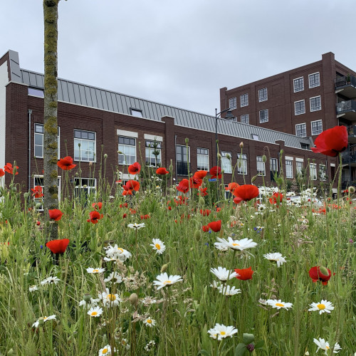 Praktijkmiddag Beeldkwaliteit 2025: Norm of Waarde?