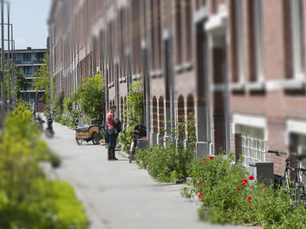 Afbeelding van Sturen op waarden voor een betere openbare ruimte